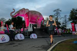 BIB: 
                            <button type="button" onclick="openModal(26529516)" class="btn btn-primary btn-sm float-right btn-popup" data-toggle="modal" data-target=".modal-high-quality">
                        <i class="fas fa-shopping-cart"></i> Add to Cart
                    </button>
                                            <button type="button" onclick="isThisMe(26529516, true)" class="btn btn-success btn-sm float-right btn-popup btn-isme hidden" data-toggle="tooltip" data-placement="bottom" title="นี่คือรูปของคุณใช่ไหม คลิกที่นี่เพื่อเอาเข้าอัลบั้ม">
                        <i class="fas fa-plus"></i> Add to album
                    </button>
                    <button type="button" onclick="isThisMe(26529516, false)" class="btn btn-warning btn-sm float-right btn-popup btn-isnotme hidden">
                        <i class="fas fa-ban"></i> Remove from album
                    </button>